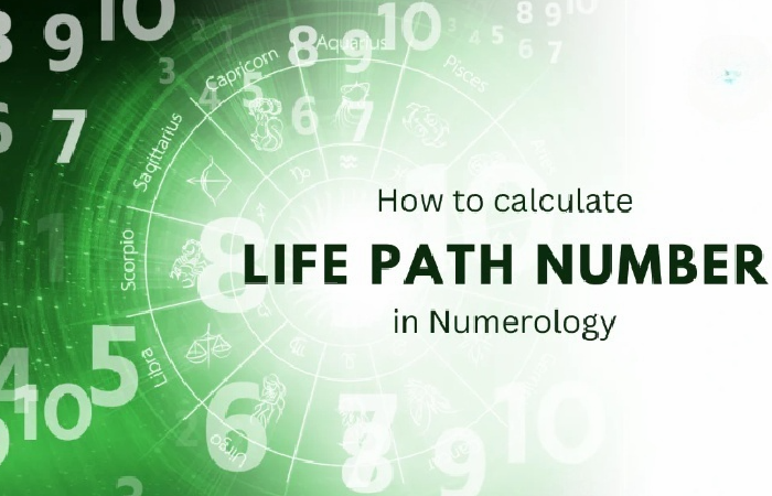 Life path numbers.png