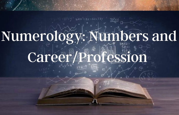 career and numerology.png